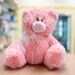 Pink Plush Bear